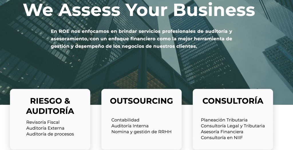 ROE AUDITORES-CONSULTORES