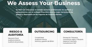 ROE AUDITORES-CONSULTORES
